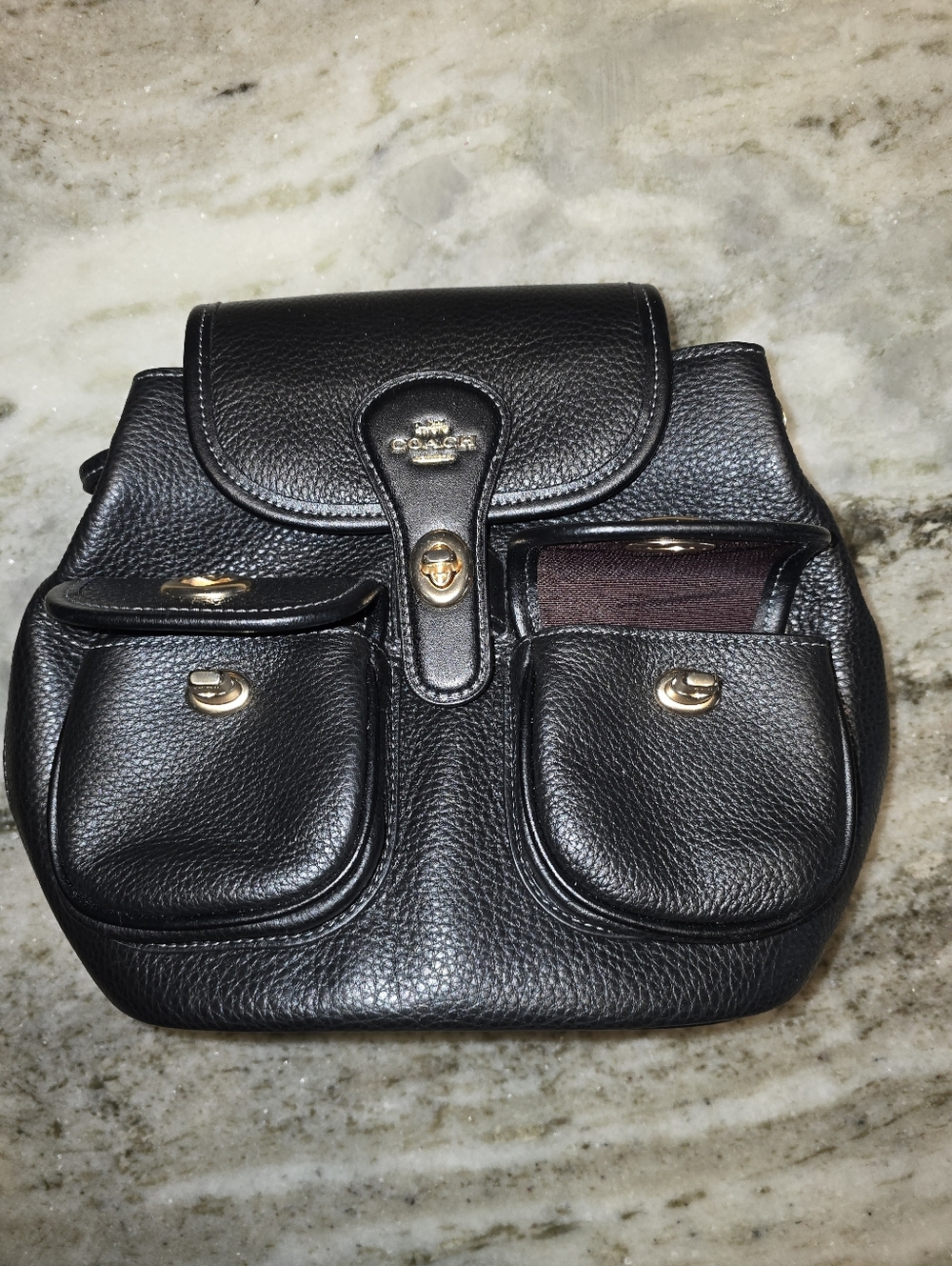 Coach Hadley Backpack. 